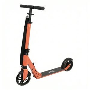 Skrejritenis Rideoo 175 City Salmon