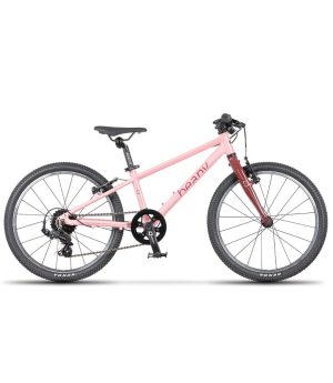 Velosipēds Beany Zero 20'' pink BY20P
