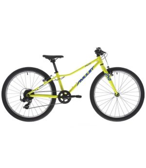 Velosipēds Amulet Fun 24'' SH green/blue 252405