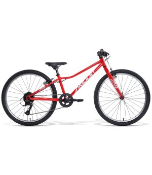 Velosipēds Amulet Fun 24'' red shiny/silver AM262408